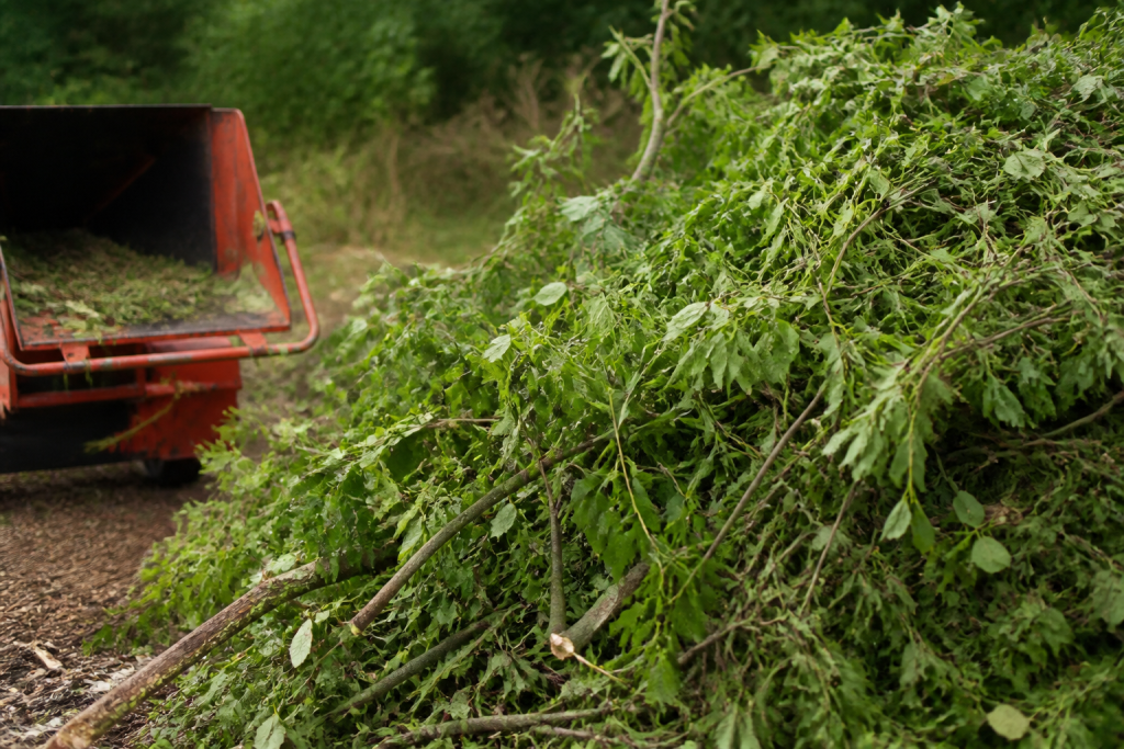 Branches vertes et epaisses empilees pres d'un broyeur