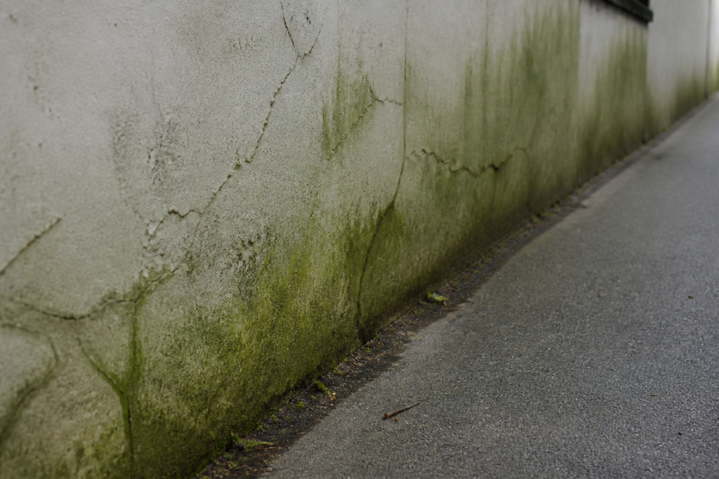 Mur extérieur présentant fissures, traces vertes de mousse