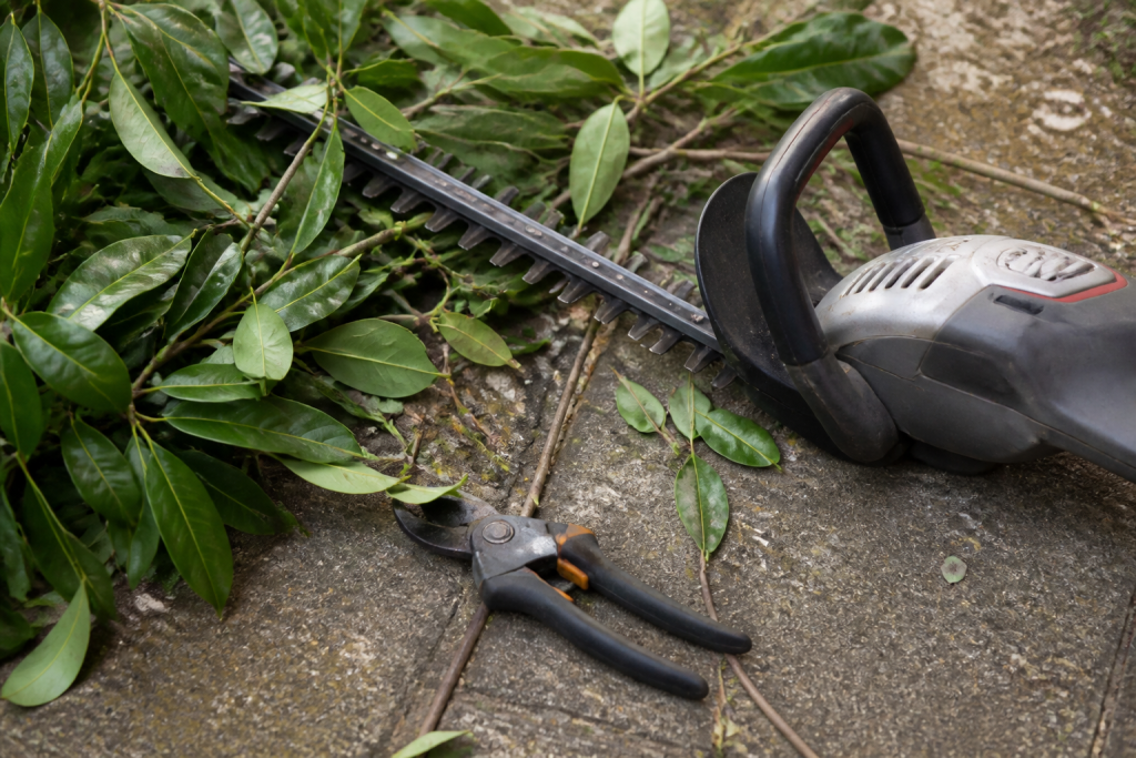 Secateur et taille-haie electrique pres de branches de laurier