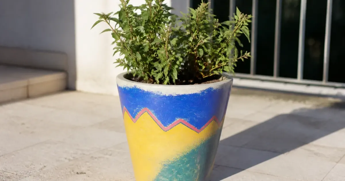 pot de fleurs coloré debout sur terrasse ensoleillée