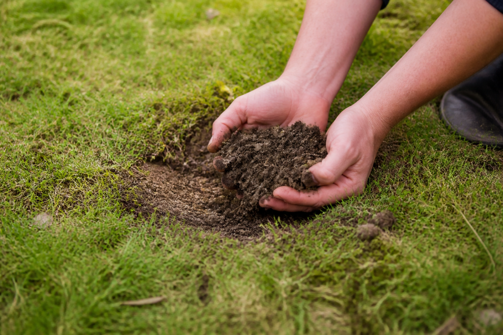 Mains remplissant trou gazon avec terre mélangée