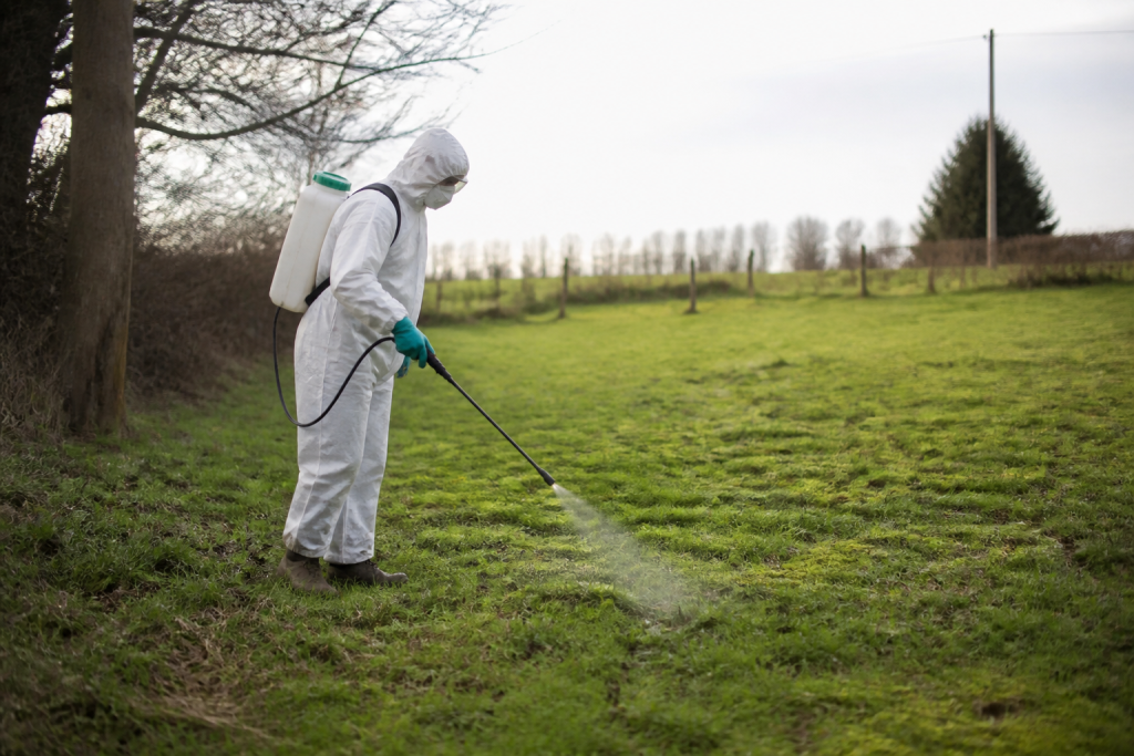 Pulverisation selective de traitement sur zones mousseuses herbeuses
